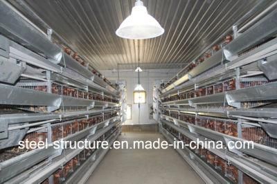 Steel Structure Henhouse From Qingdao Xgz