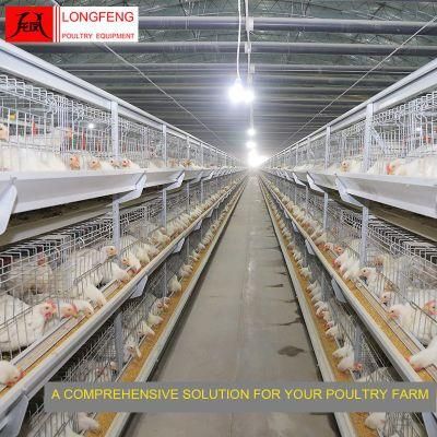 Nipple Drinking Line Solar Egg Incubator Broiler Chicken Cage with Local After-Sale Service in Asia