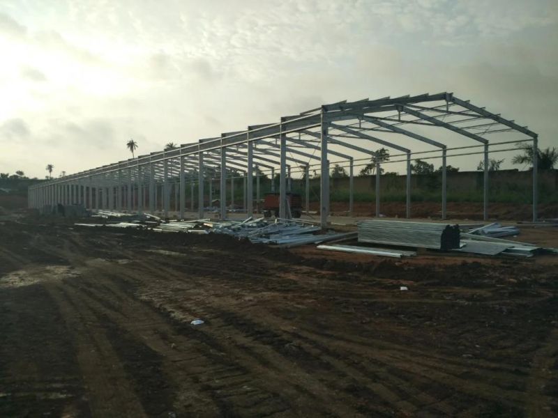 Steel Structure Chicken House with Automatic Equipment for Both Laying Hens and Broilers