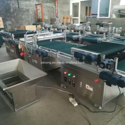 Automatic Pneumatic Nursery Seedling Planting Seed Sowing Machine
