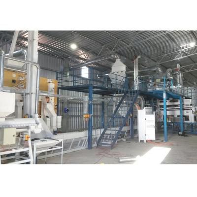 Hot Sale Bean Sesame Seed Cleaning Plant (5XZC-5X)