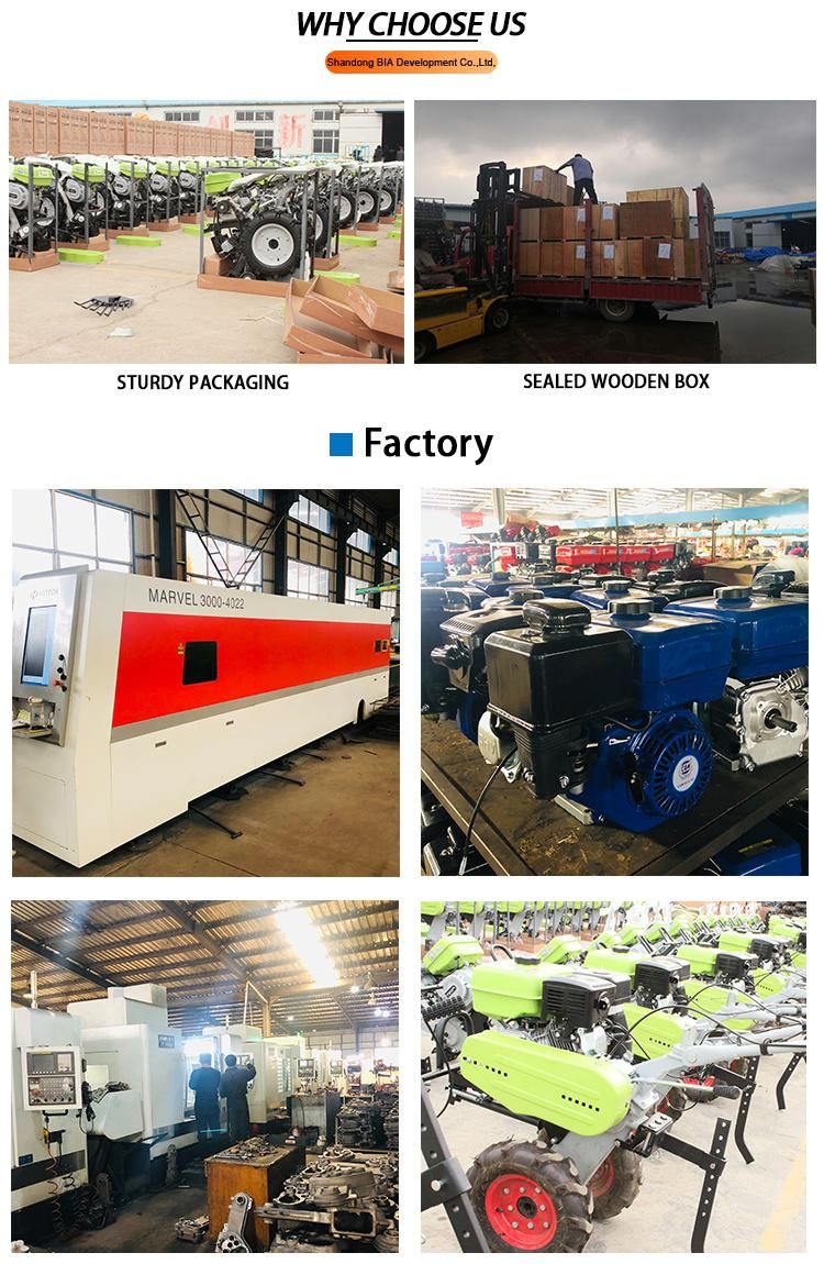 Power Tiller Factory Wholesale Agriculture Gasoline Type Mini Power Rotary Tiller Cultivator From China