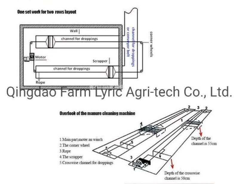 Animal Husbandry Equipment Manure Cleaning System/Poultry Manure Scraper