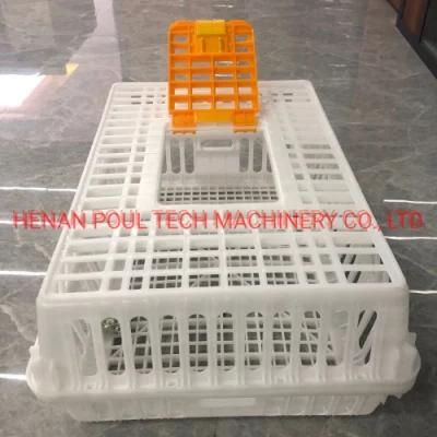 Special Chicken Raising Equipment for Transfer Basket for Chicken