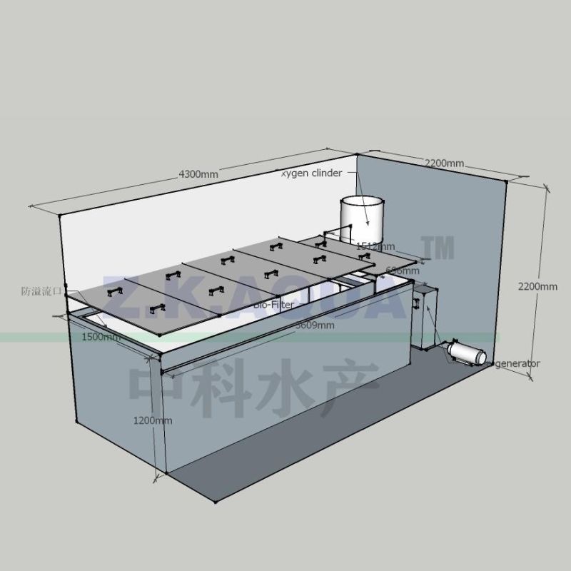 Modern Recirculating Aquaculture System Oyster Mussel Live Fish Transport Tanks