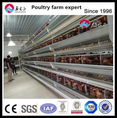 Livestock Plastic Layer Transport Box Chicken Cage Poultry Farm, Small Animal Farm Equipment
