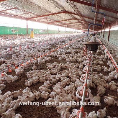 Fully Controlled Automatic Farm Chicken Poultry Equipment for Sale