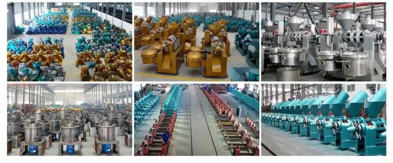 Guangxin 10tpd Bigger Gear Box Oil Press Yzyx140cjgx Longer Squeeze Chamber Oil Expeller