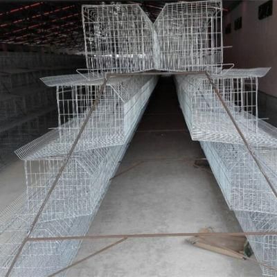 Best Sale Long Life Span Galvanized Chicken Layer Cage for Bangladesh Poultry Chicken Farming Increasing Eggs Production