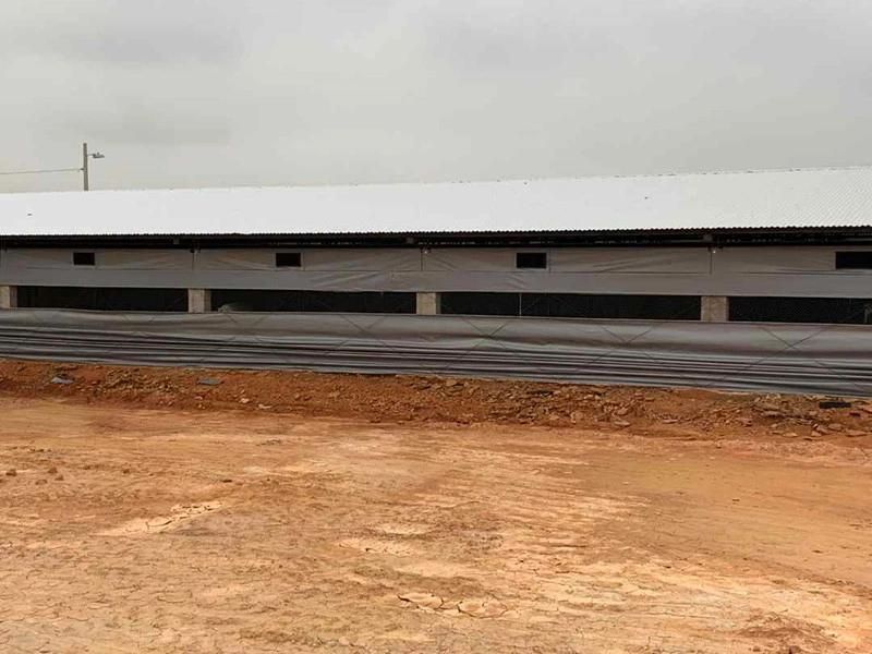 Complete Automatic Chicken House Equipment for Poultry and Broiler Farm Shed