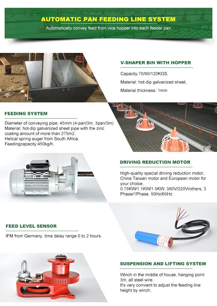 Automatic Poultry Shed Equipment/Chicken Farm Equipment / Complete Farming System