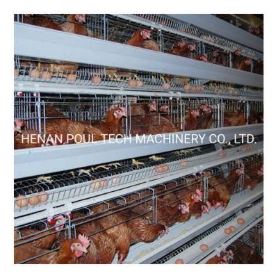 Automatic Battery Layer Chicken Cage Hot Sale Poultry Farm Cage Customized Poultry Battery Cage Automatic System