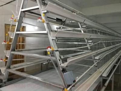 Multipurpose Type a or Type H Chicken Cage Poultry Raising Equipment