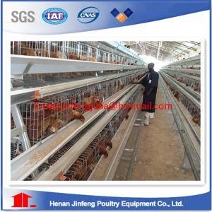 Africa Super Quality Chicken Cage for Sale