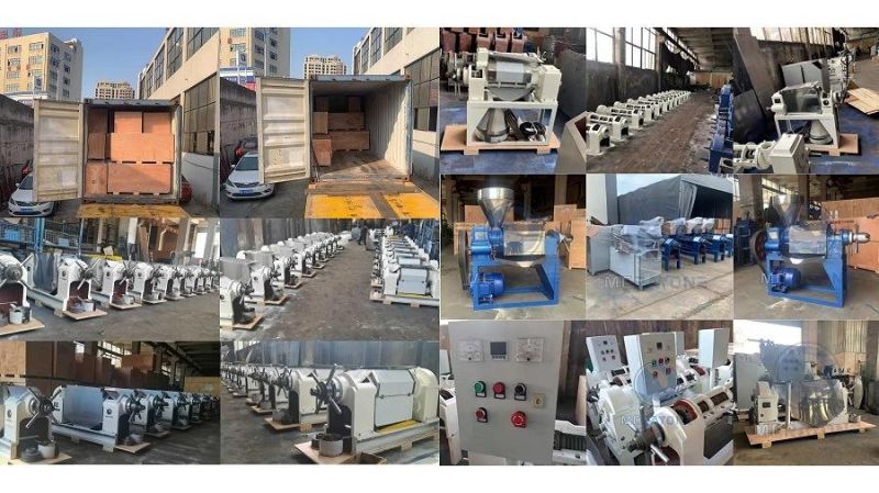 China Hot-Sale Oil Press Cooking Oil Press Machine for Soybean Sunflower Grount Nut Coconut Oil Mill Machine for Sesame Cotton Seed Tea Seed 60-850kg/H