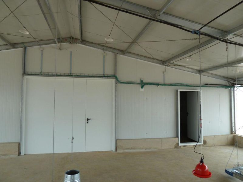 Precast Light Steel Structure Layer House for Chicken Farm