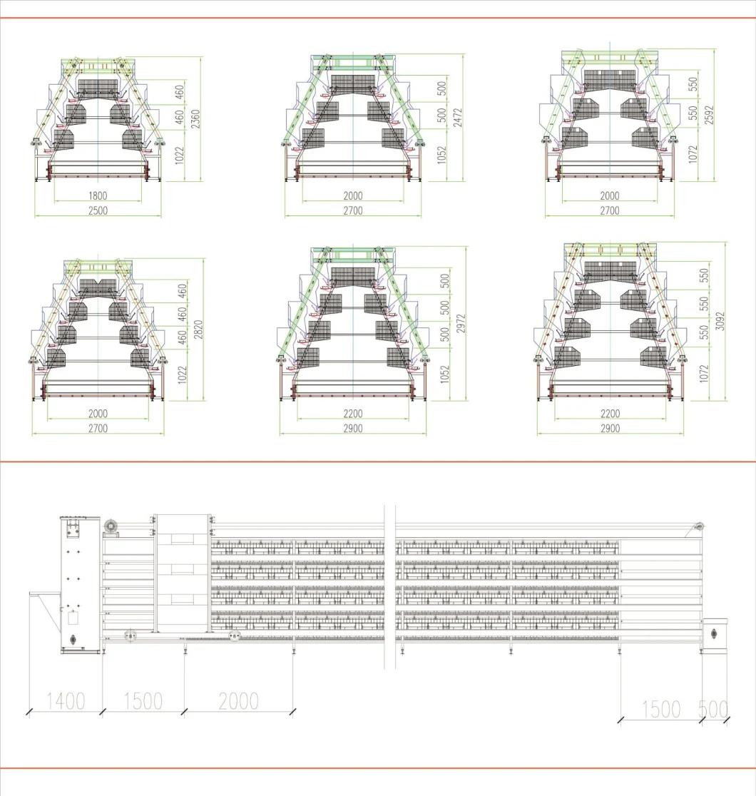 Chicken Cage Poultry Type a Raising Equipment for Large Scale Poultry Farm