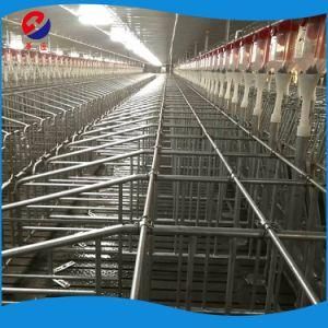 New Design Pig Equipment Galvanized Hog Farrowing Crate