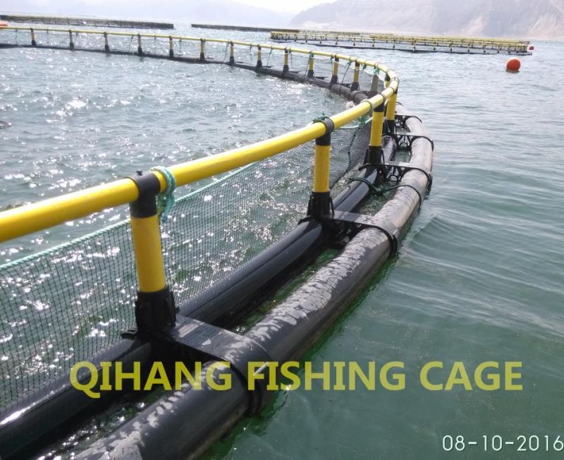 Tilapia Farming Cage with Technical Team Support