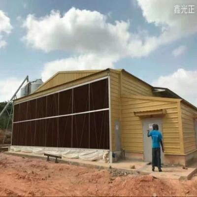 Design Full Automatic Layer Chicken Cages for Kenya Poultry Farm