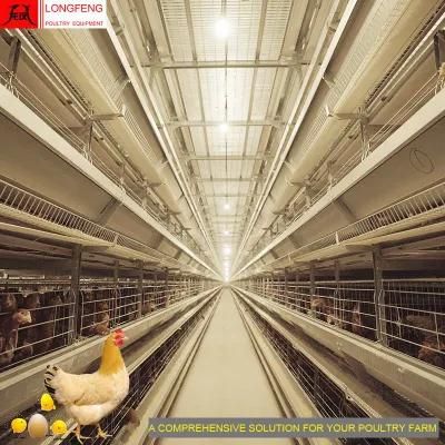 Automatic Chicken Cage Farming Equipment Longfeng China Livestock Machinery Coop