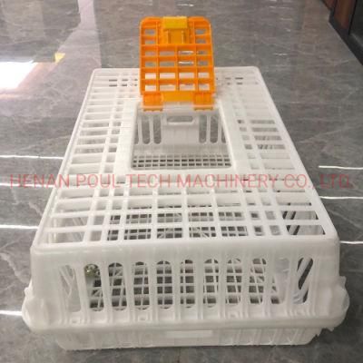 Transport Baskets for Chicks and Adult Chickens