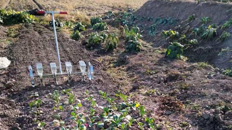 Hand-Pulled Vegetable Seeder Coriander Celery Radish Multi-Row Planter Seeder