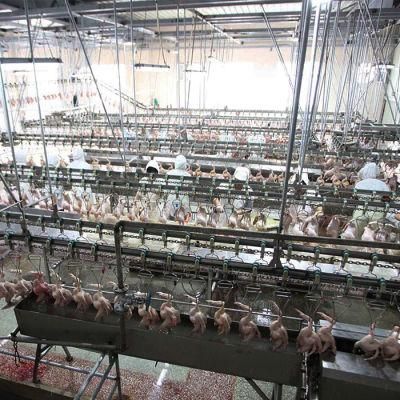 2020 Automatic Poultry Chickens Processing Slaughterhouse Machinery 1000bph