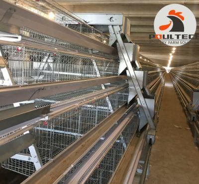 Poultry Farming Equipment with Poultry Cage and Good Price.