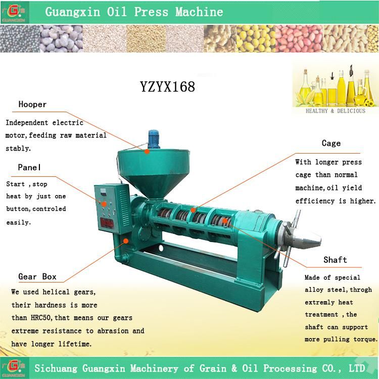 Guangxin 800kg/H Biggest Sunflower Oil Press Yzyx168