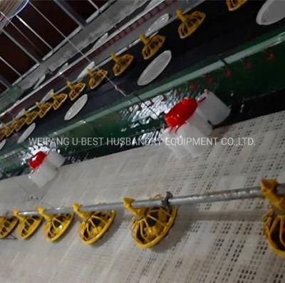 PP Pan Material and 45-50 Birds/Pan Pan Capability Broiler Poultry Farm Equipment