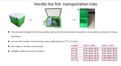 Container HDPE PUR Insulated Fish Box Live Fish Storage Container