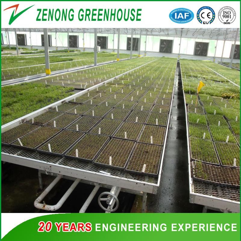 Alluminum Alloy Frame/Rolling Seeding Bed/Growing Bench Used in Greenhouse