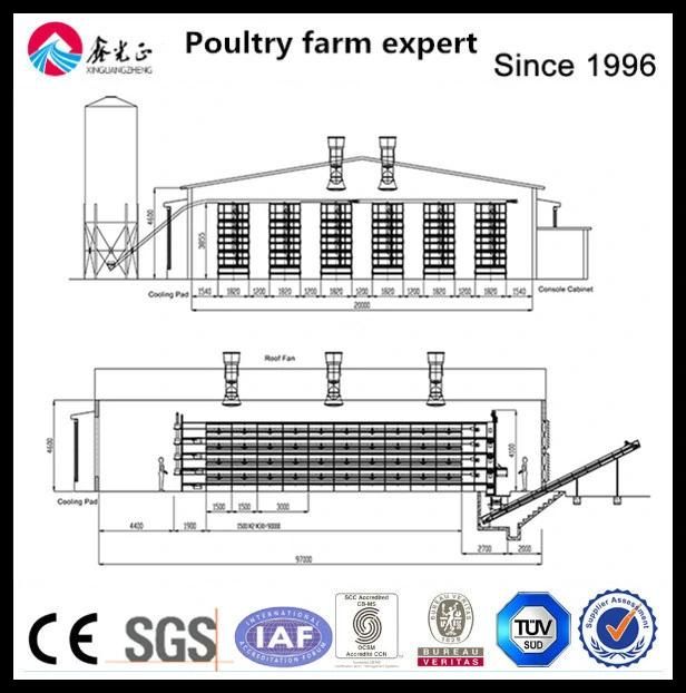 Prefab/Prefabricated Low Cost Industrial Steel Chicken Farm with Certificates