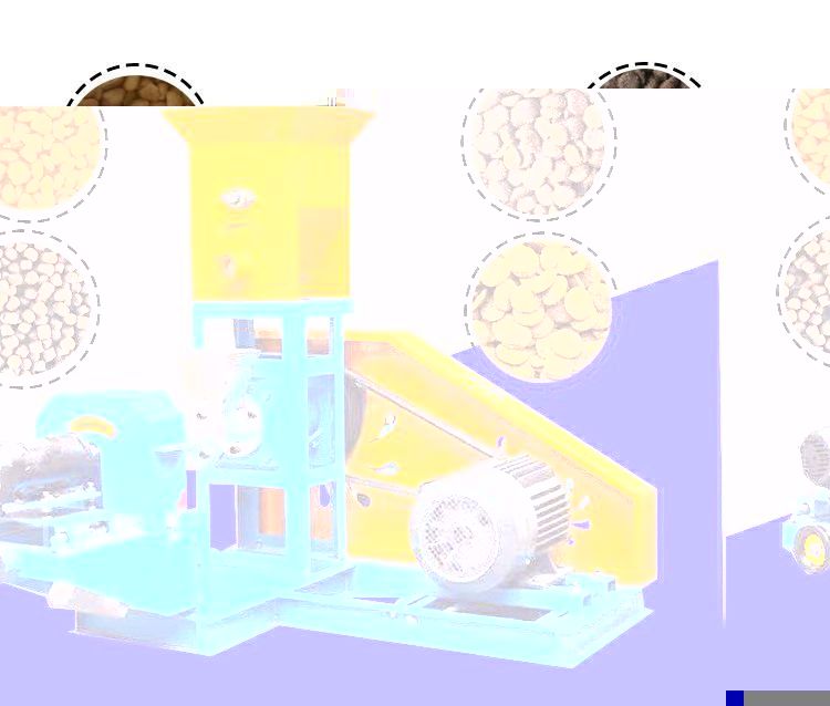 Automatic Floating Fish Feed Pellet Machine for Fish Farming