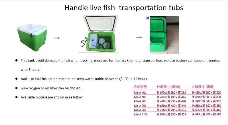 Fish Transport Pump Special Transportation Cooler Boxes to Transport Fish