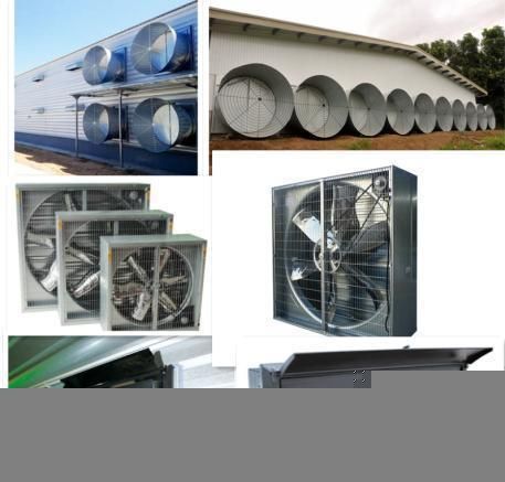 Automatic Control Whole Poultry Equipment for Broiler Chicken Farm