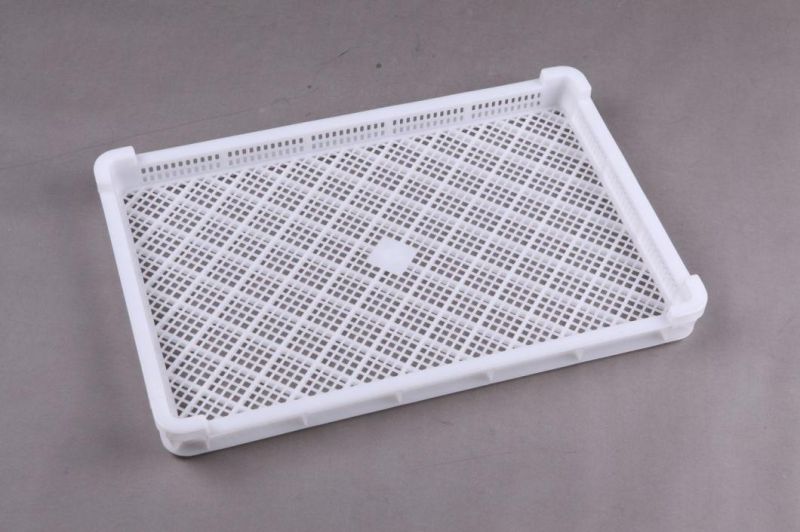 Frozen Plate for Dressing Plant for Broiler Dressing Plant for Chicken