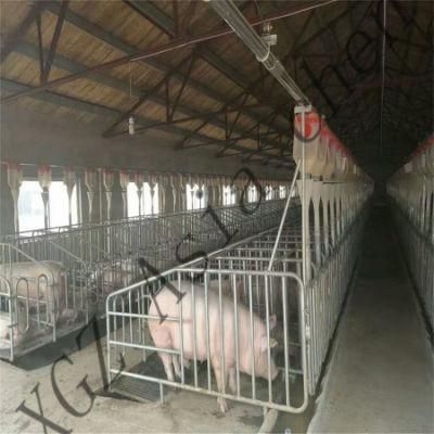 Xinguangzheng Designed Pig Breeding Equipment