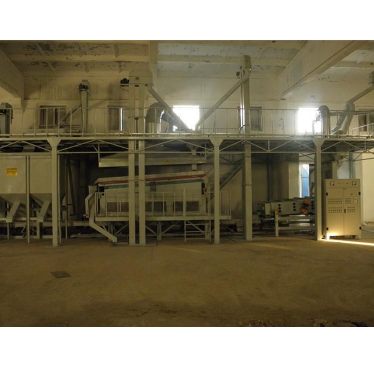Seed Processing Plant for Maize Sorghum