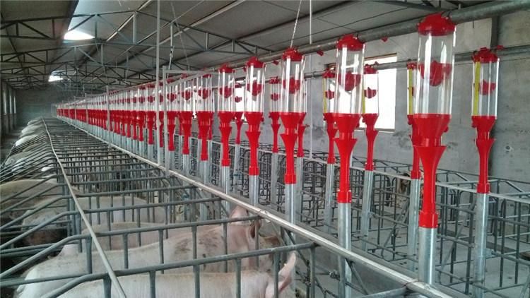 Pig Feeding Line Automatic Feeding Equipments