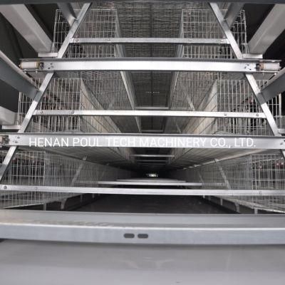 The Most Cost-Effective Chicken Cage Breeding Equipment