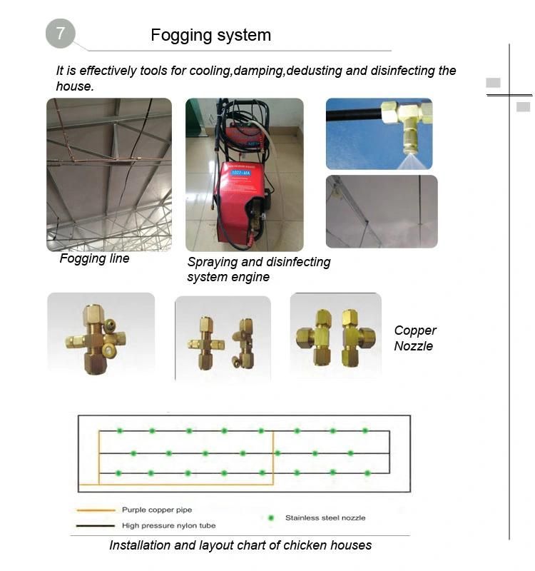Automatic Chicken Drinking and Feeding System for Chicken Poultry Farming Equipment