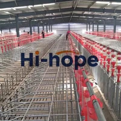 Piggery Farming Equipment Modern Farm Customized High Quality Auger Chain Auto Feeding System