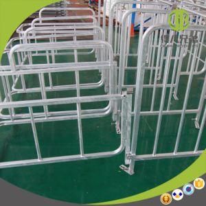 Gestation Crate Pig Farm Feeder Sow Gestation Stall Pig Equipment