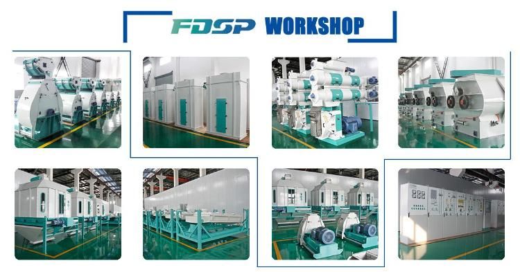 Feed Pellet Plant Manufacturing Plant for Animal Feed Production Line