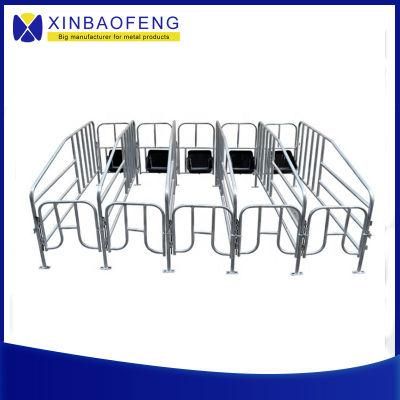 Pig Farm Equipment Pig Stall Pen System Sow Gestation Farrowing Stall