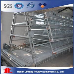 a Type Automatic Chicken Cage System From Jinfeng Poultry