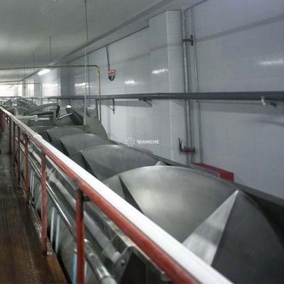 Poultry Processing Plant Chicken Chiller Chicken Slaughterhouse Chilling Equipment