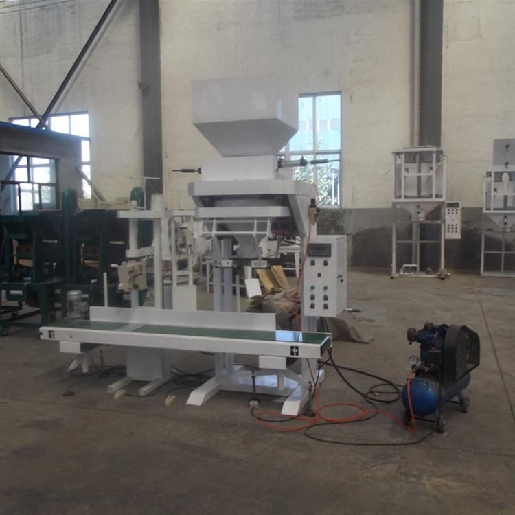 Quinoa Grain Packing Machine/ Bagging Scale System (DCS-25B)